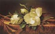 Martin Johnson Heade Magnolia Sweden oil painting artist